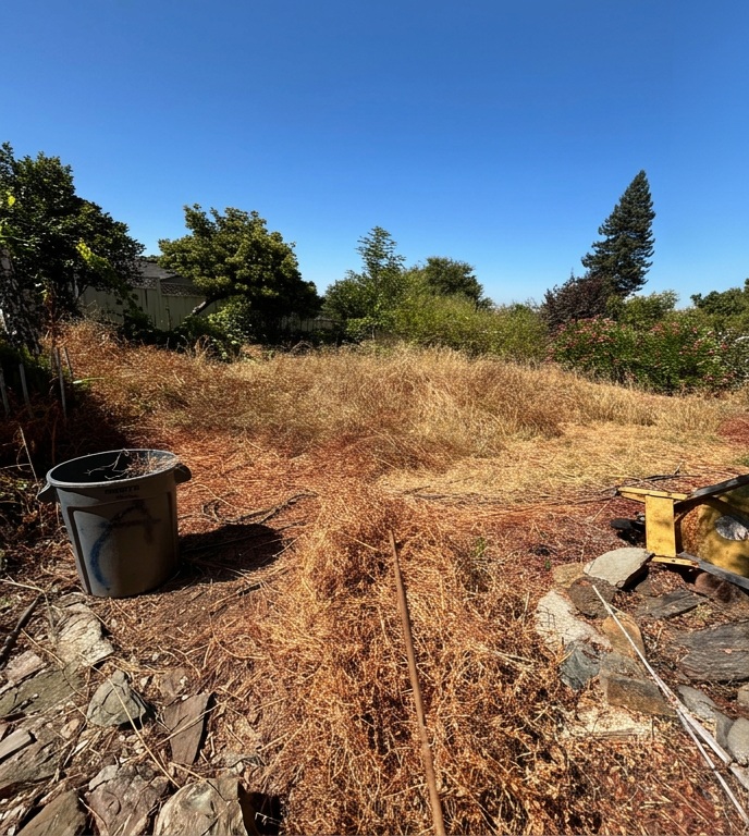 Yard Cleanups project before service