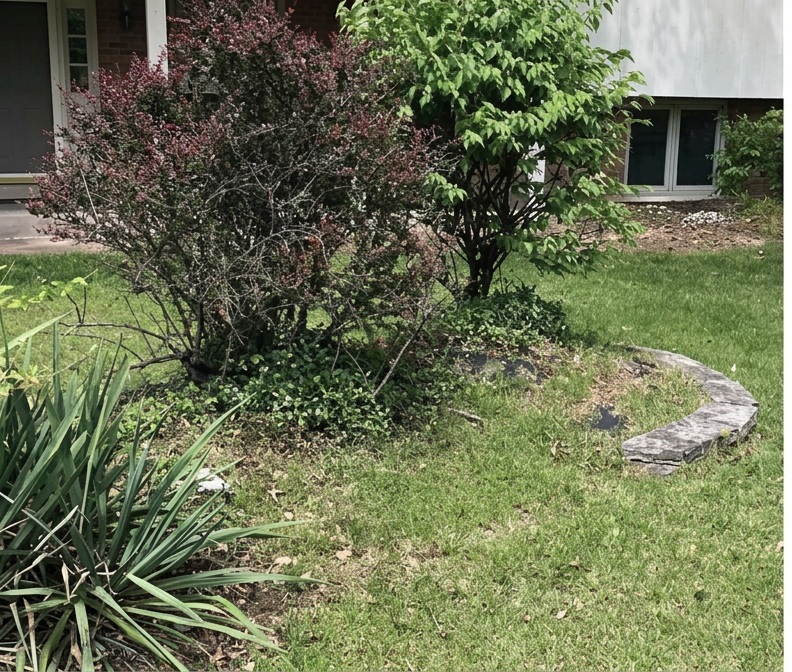 Landscaping Services project before service