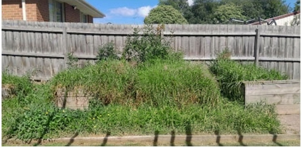 Yard Cleanups project before service
